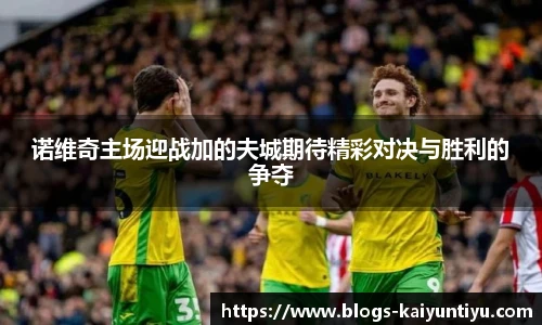 云开体育