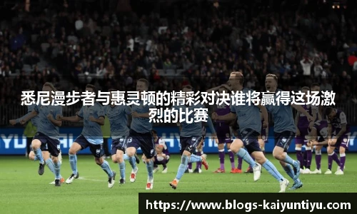 悉尼漫步者与惠灵顿的精彩对决谁将赢得这场激烈的比赛